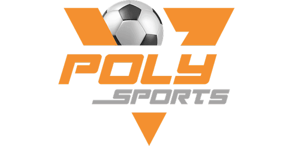 পলি গেমিং logo